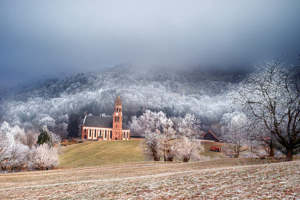 Frozen morning