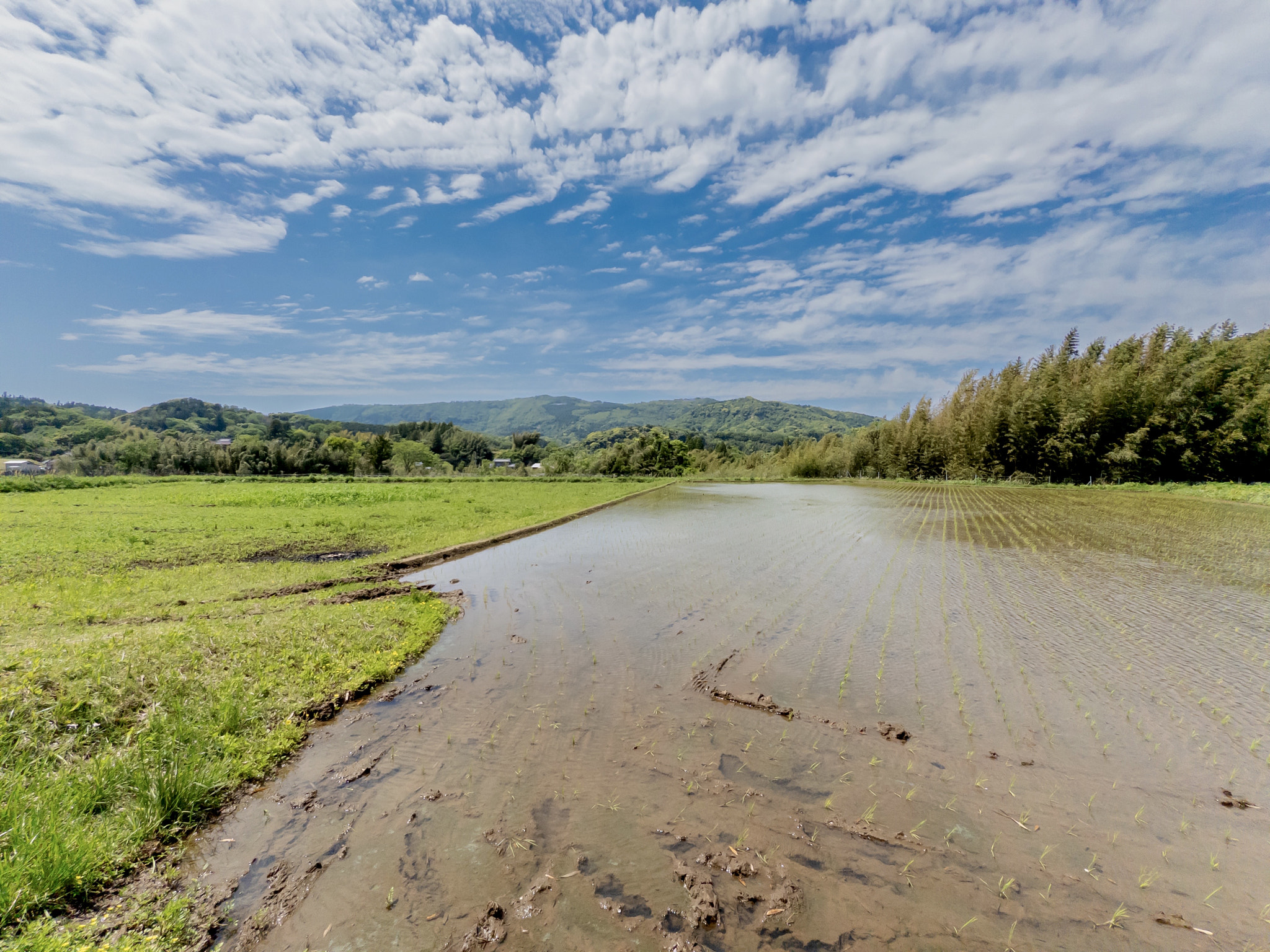 Satoyama in Kimitsu