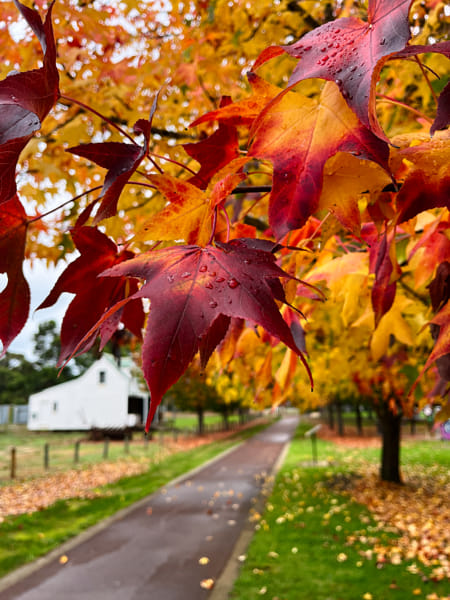 Ballinup Village Green by Paul Amyes on 500px.com