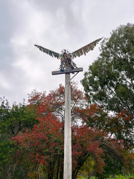 Chromium Eagle by Paul Amyes on 500px.com