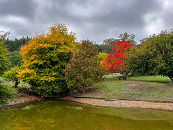 Golden Valley Tree Park by Paul Amyes on 500px.com