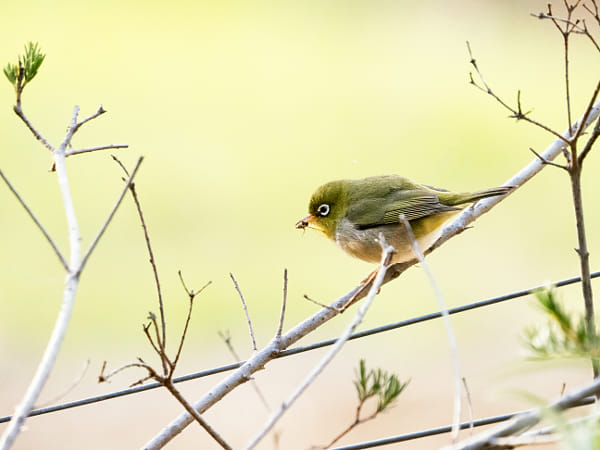 Doolor by Paul Amyes on 500px.com