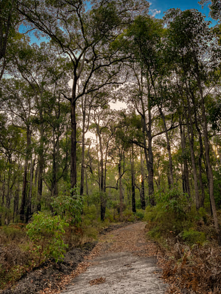 Balingup Racecourse Flora Reserve by Paul Amyes on 500px.com