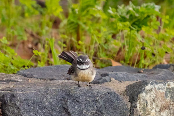 Kadjinak by Paul Amyes on 500px.com