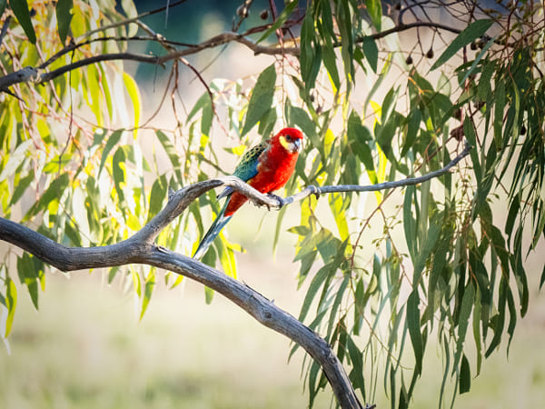 Bardinar by Paul Amyes on 500px.com