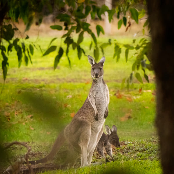 Yongka by Paul Amyes on 500px.com