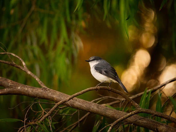 Boyidjil by Paul Amyes on 500px.com