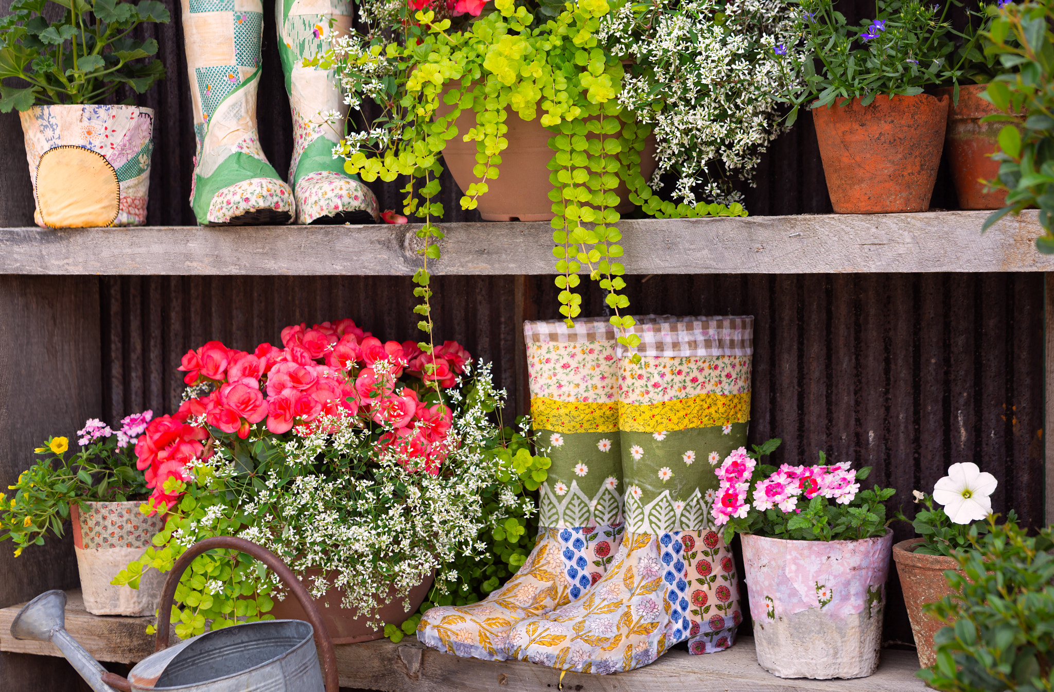 Dislpay of spring flowers and rain boots