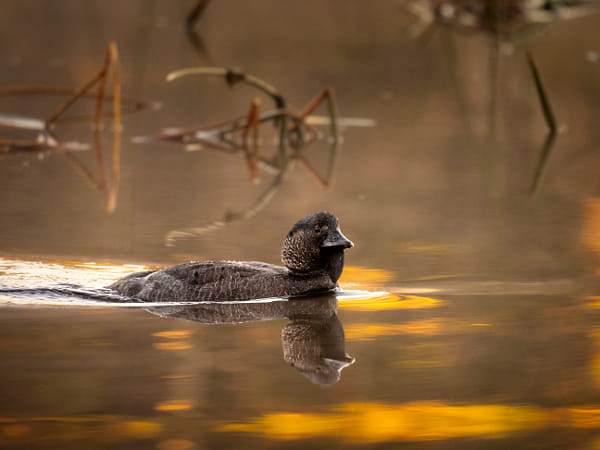 Kadar by Paul Amyes on 500px.com