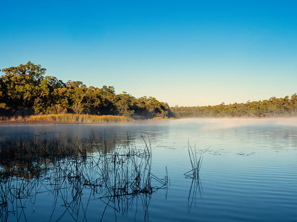 Morning Mist by Paul Amyes on 500px.com