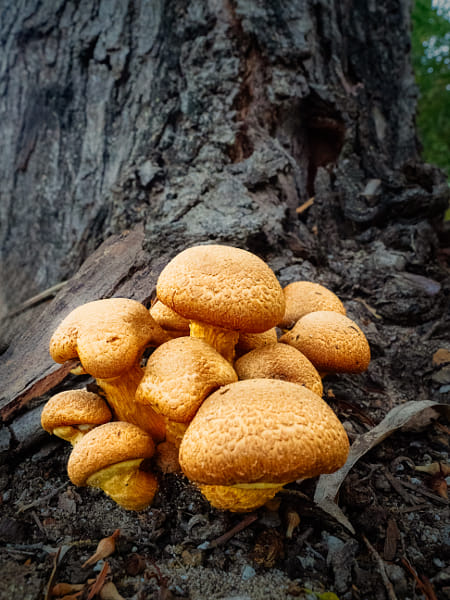 Spectacular Rustgill by Paul Amyes on 500px.com