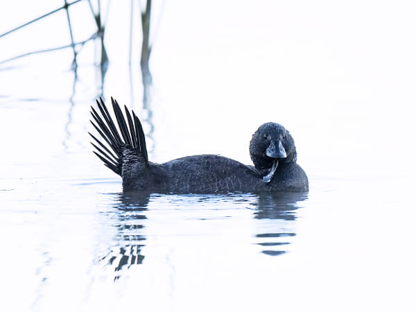 Kadar by Paul Amyes on 500px.com