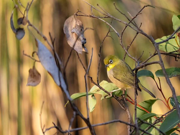 Doolor by Paul Amyes on 500px.com
