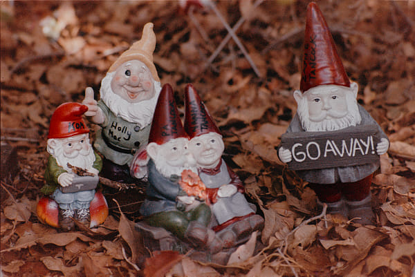 Gnomesville by Paul Amyes on 500px.com