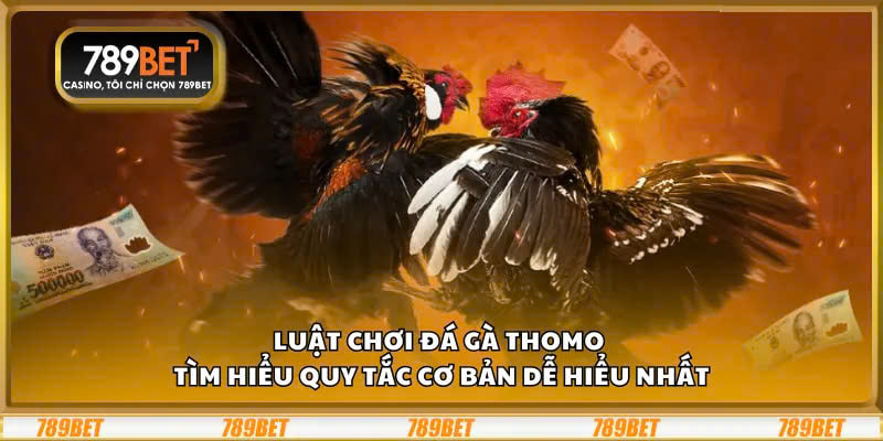 Luật chơi đá gà Thomo – Tìm hiểu quy tắc cơ bản dễ hiểu nhất