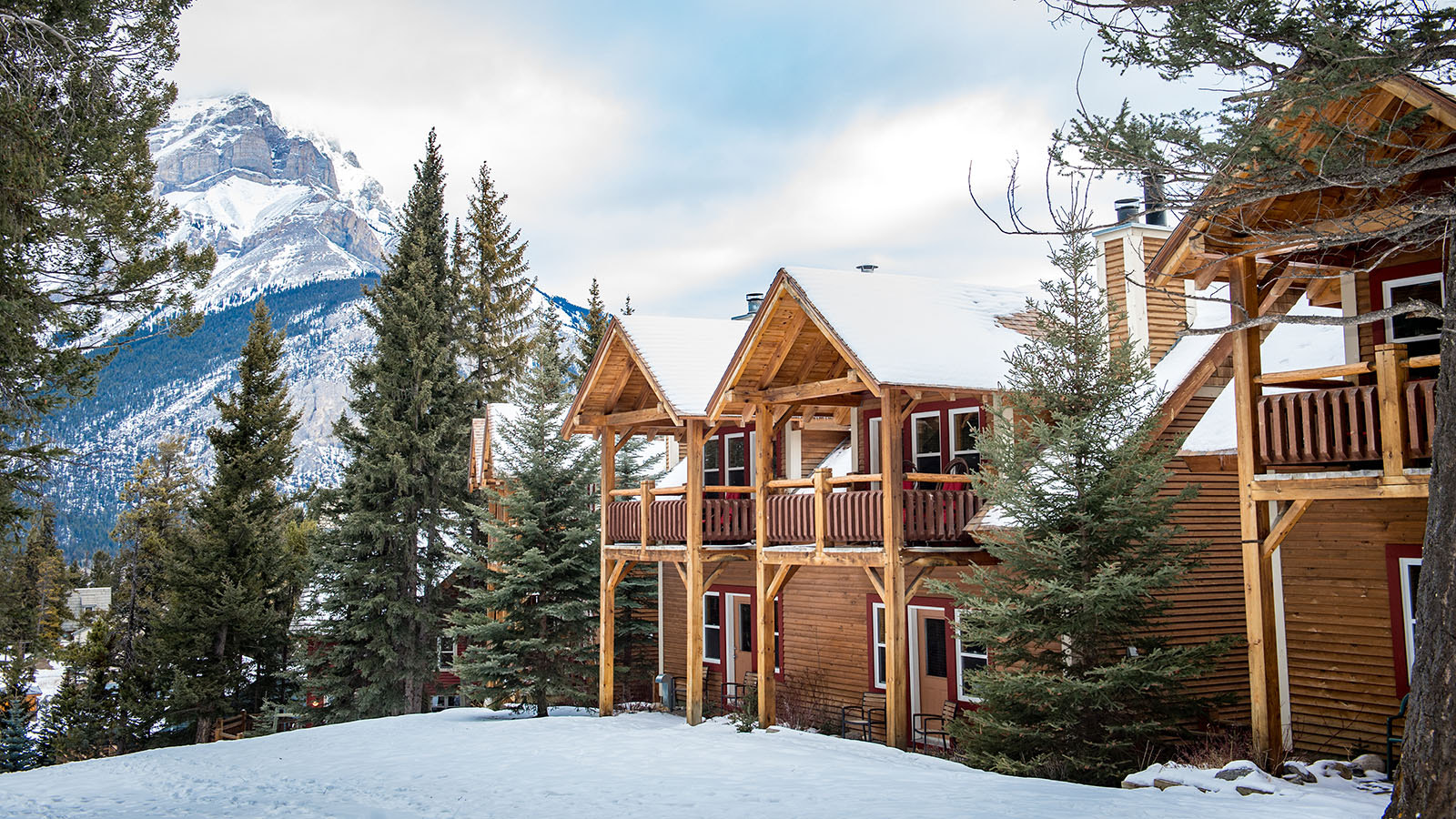 v2?sig=c56b2f5d2cb481cea02f7e043e808d6c1680165e043de4f9b7bfe2b985cab9f3