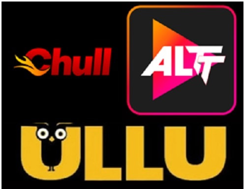Know All Top Bold Web Series Platform Names