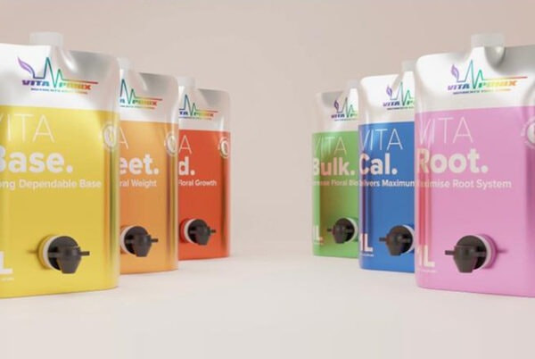 Cannabis Stecklinge kaufen Deutschland