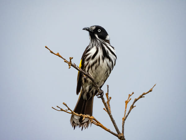 Bandiny by Paul Amyes on 500px.com