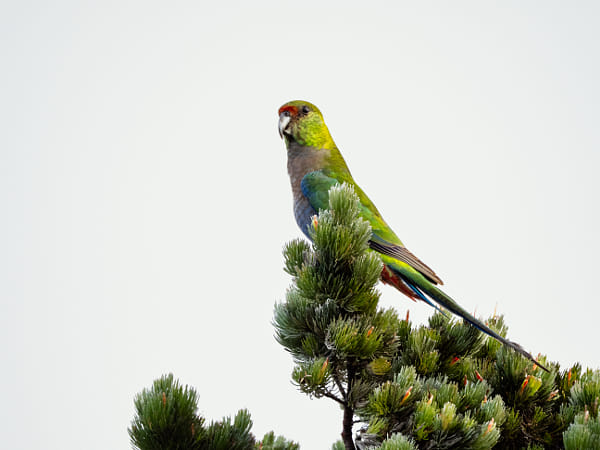 Delyip by Paul Amyes on 500px.com