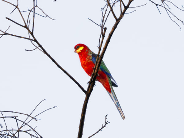 Bardinar by Paul Amyes on 500px.com