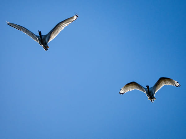 Ngalkaning by Paul Amyes on 500px.com
