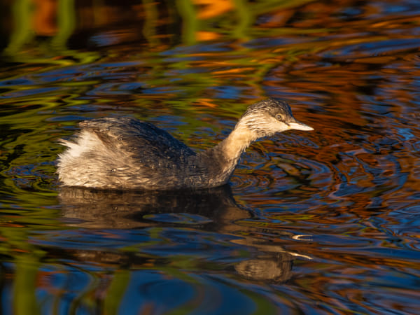 Wayooda by Paul Amyes on 500px.com