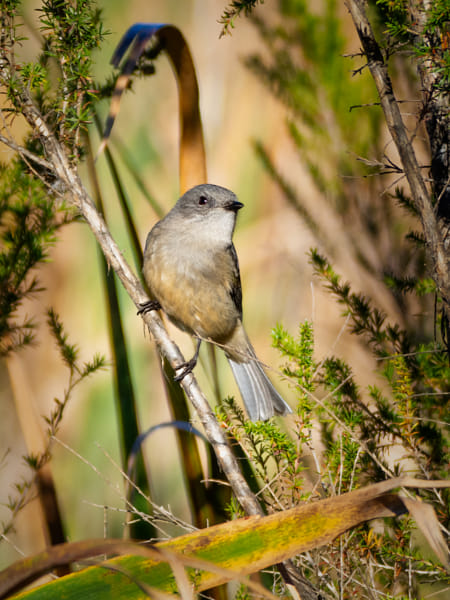 Koodilang by Paul Amyes on 500px.com