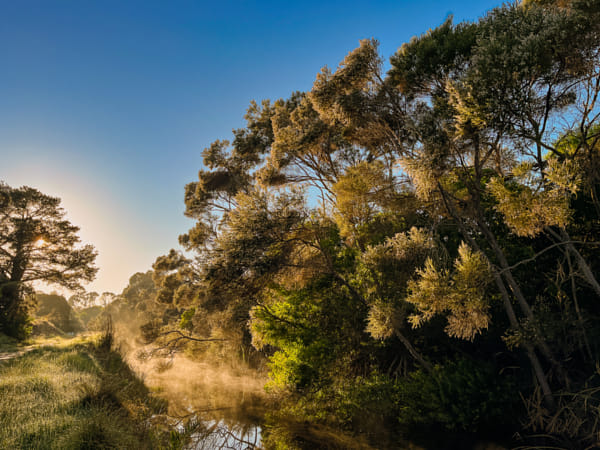 20250608-Alabany-0245-Edit by Paul Amyes on 500px.com