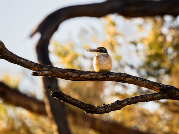 Kanyinak by Paul Amyes on 500px.com