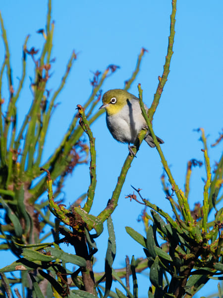 Doolor by Paul Amyes on 500px.com