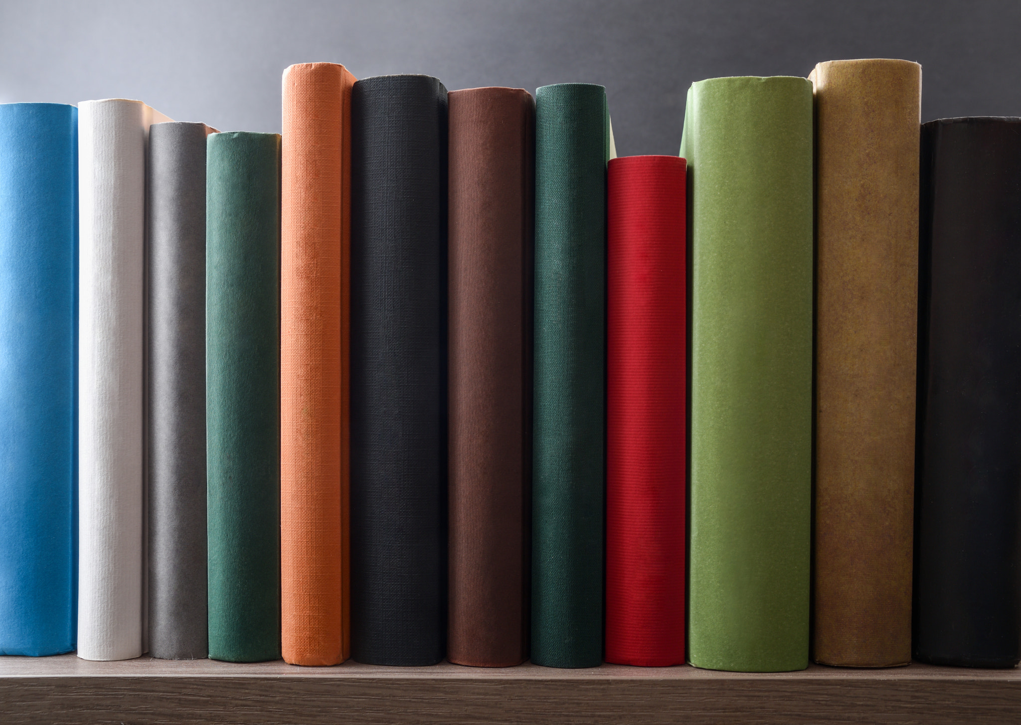 Row of books showing various colored spines on a shelf