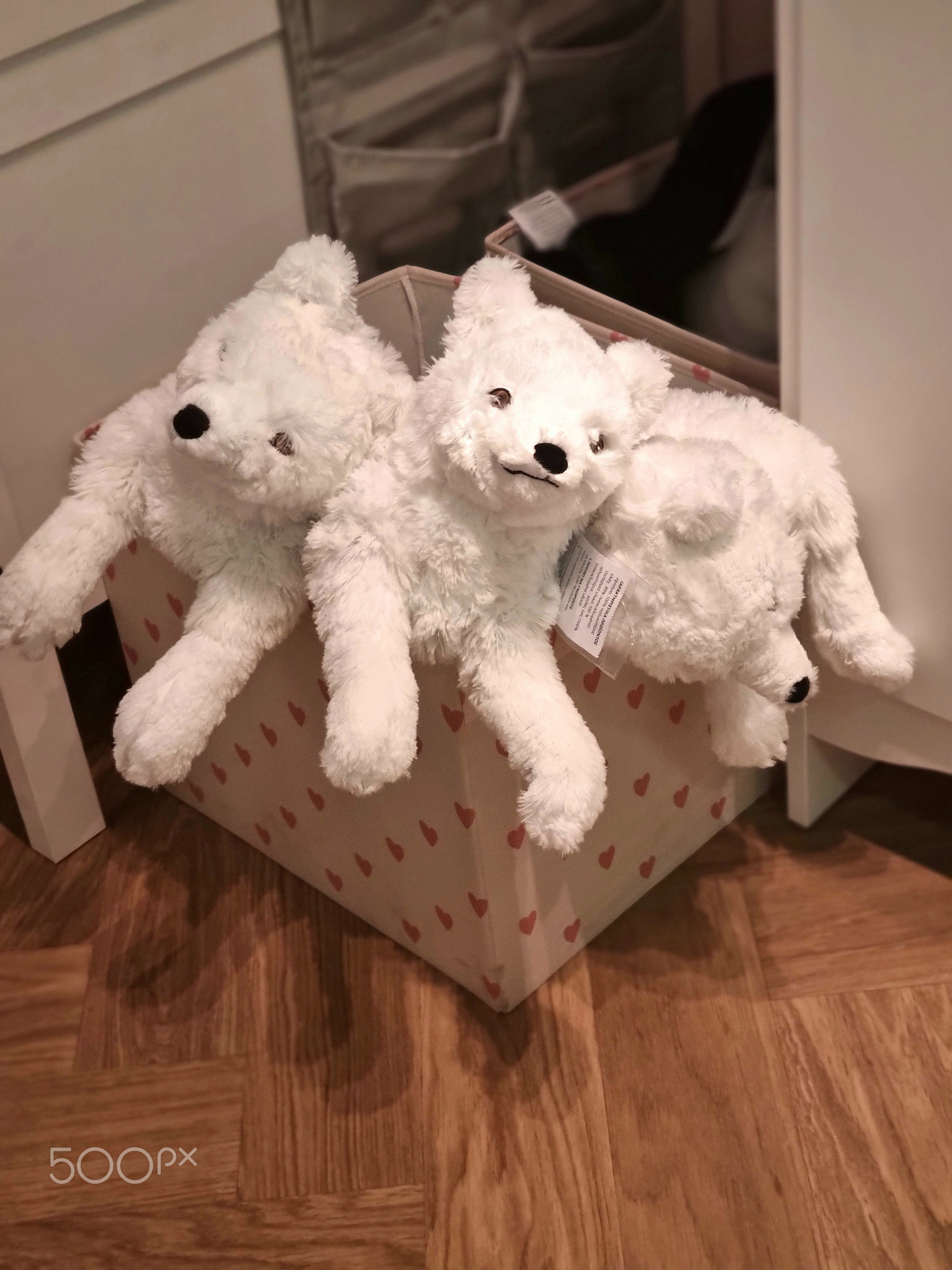 White Plush Teddy Bears in Decorative Storage Box on Wooden Floor