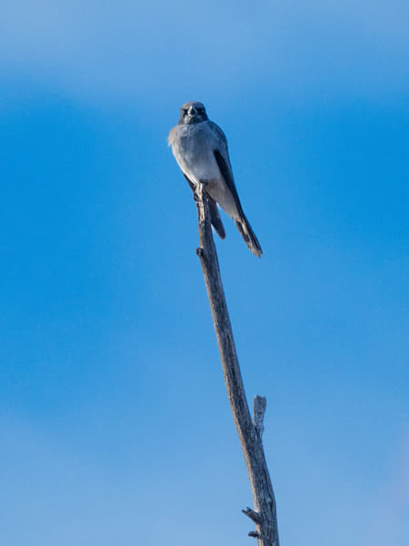 Noolarko by Paul Amyes on 500px.com