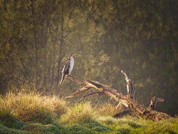 Mimal by Paul Amyes on 500px.com