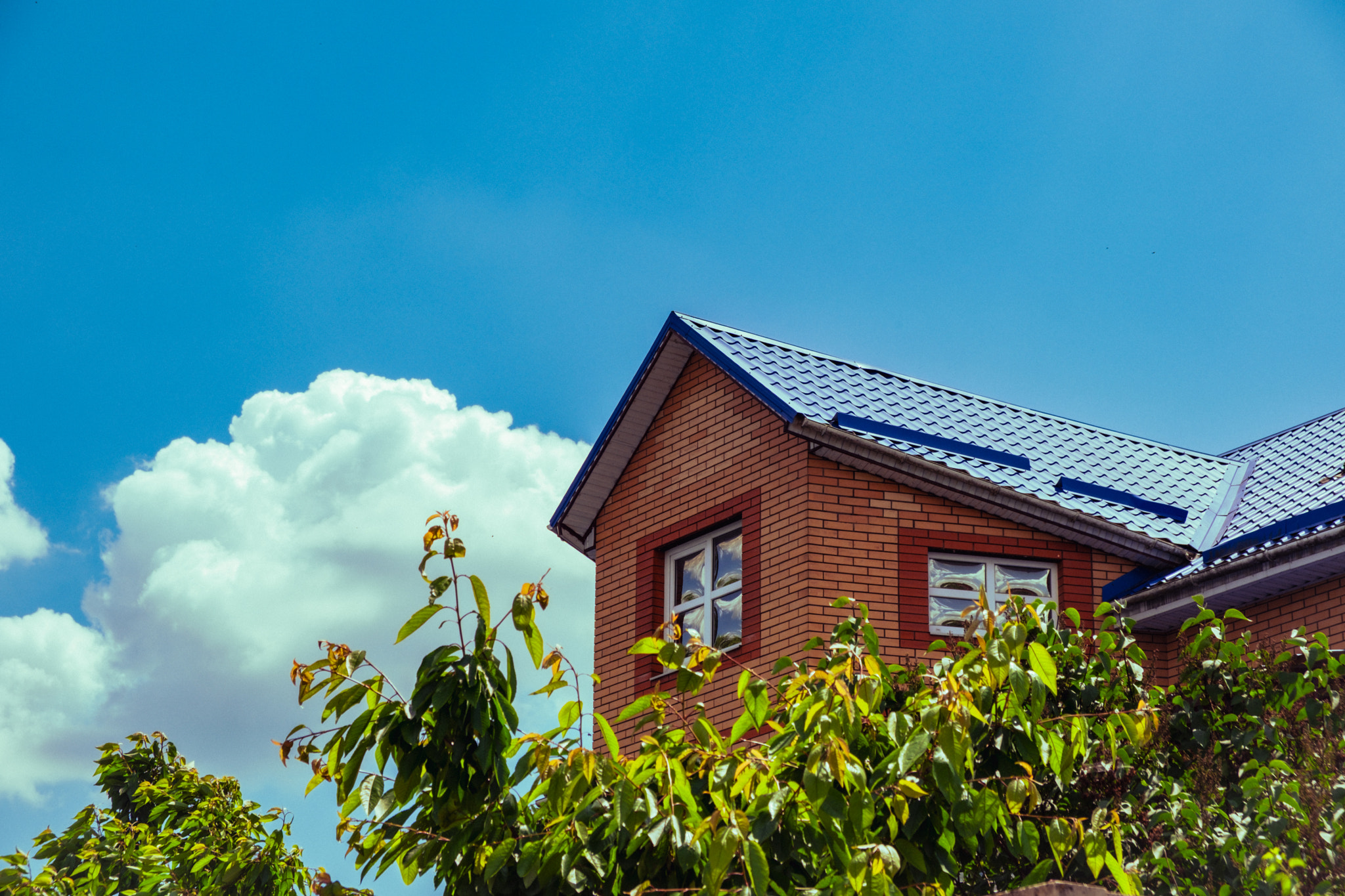 A quiet corner under the sky