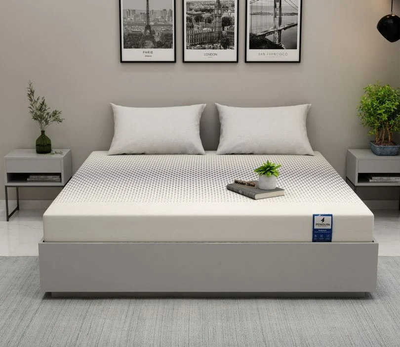 Orthopedic Mattresses Online for Back Pain Relief