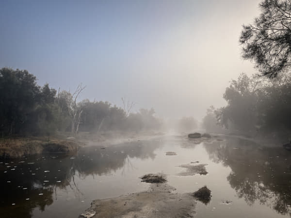 Morning Mist by Paul Amyes on 500px.com
