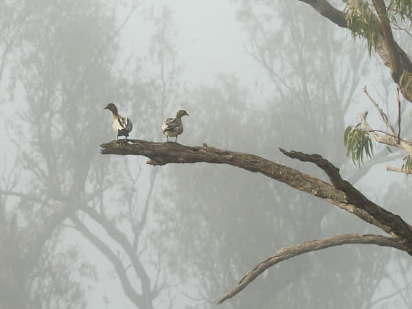 Marangana by Paul Amyes on 500px.com