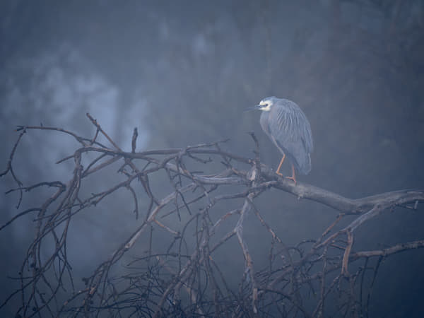 Wayan by Paul Amyes on 500px.com