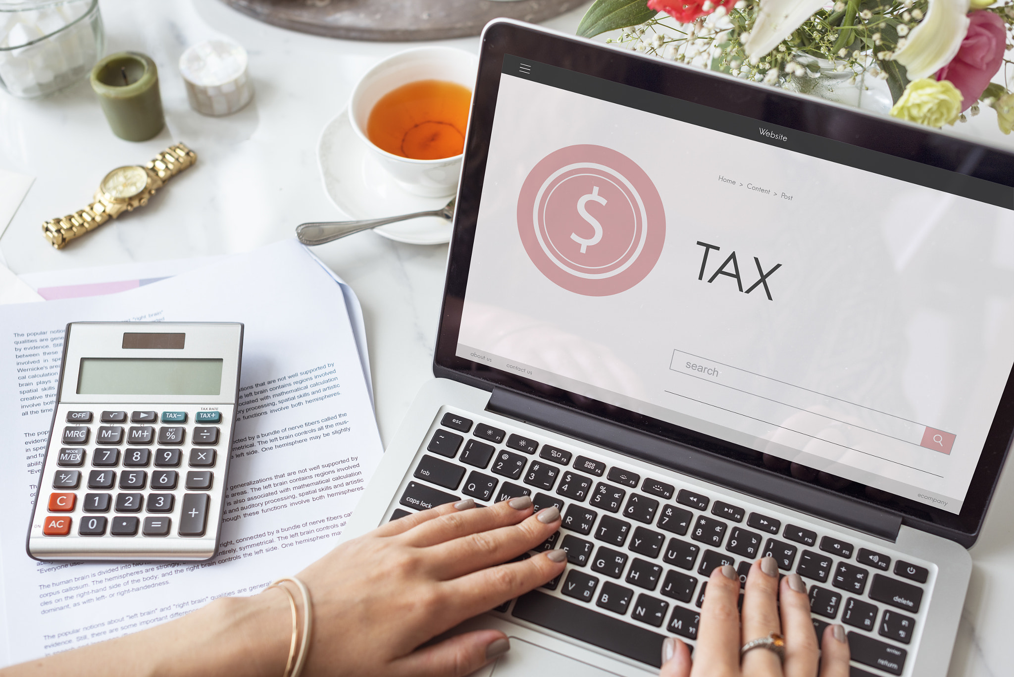 Tax and Tax Incentives | Maximize Savings with Tax Law Ventures