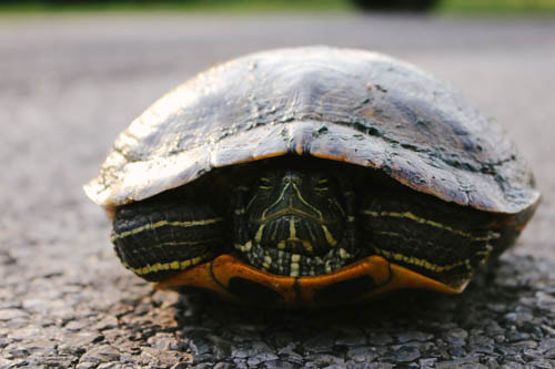 v2?sig=5b81322d780e01cf17a92d058767cc22f2563255d7036525567d4469079973b5