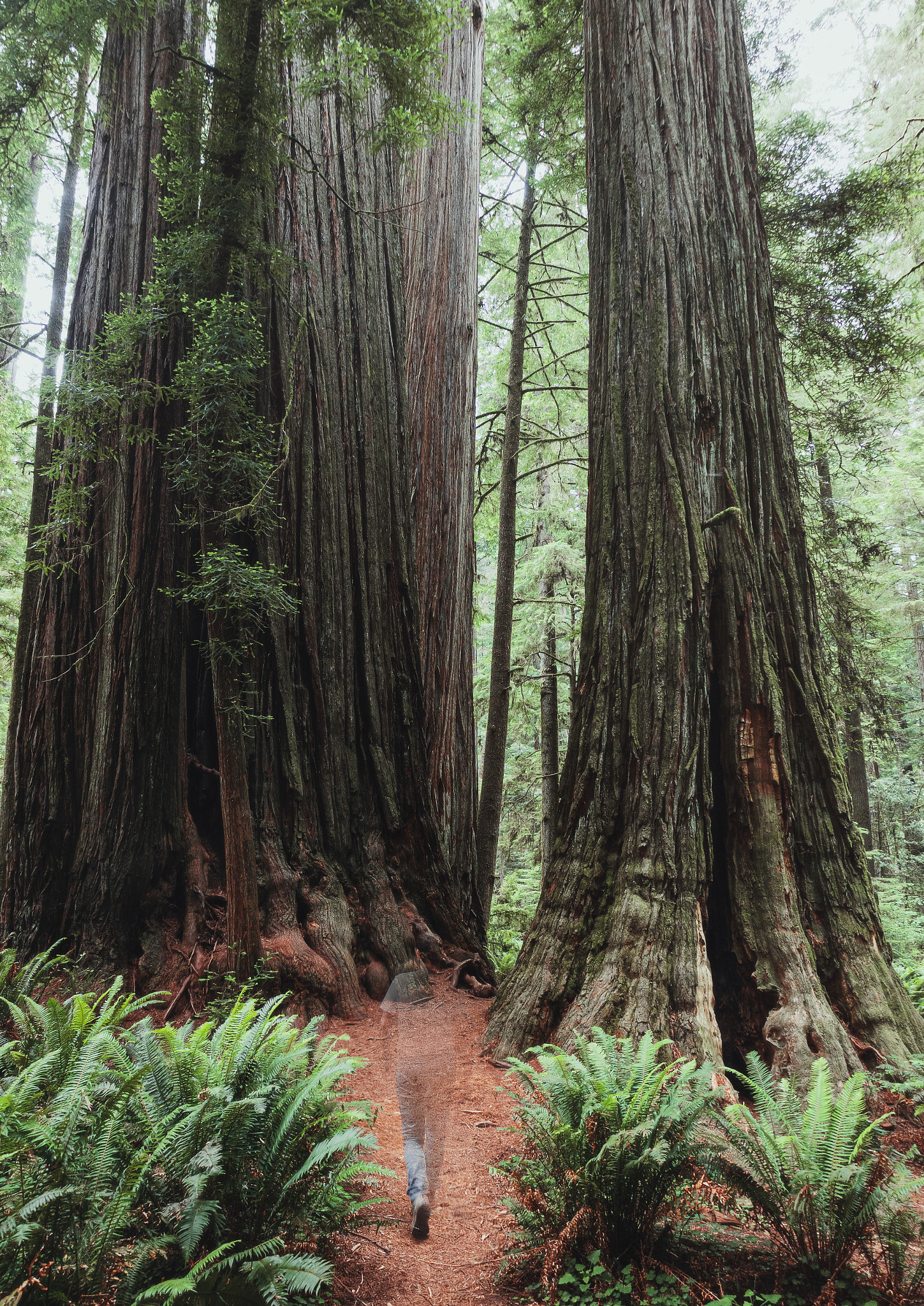 v2?sig=b83e9c12086f6c49b029132e7ca0b05ff6cdbdc07fb355f9bcd9136a43131347