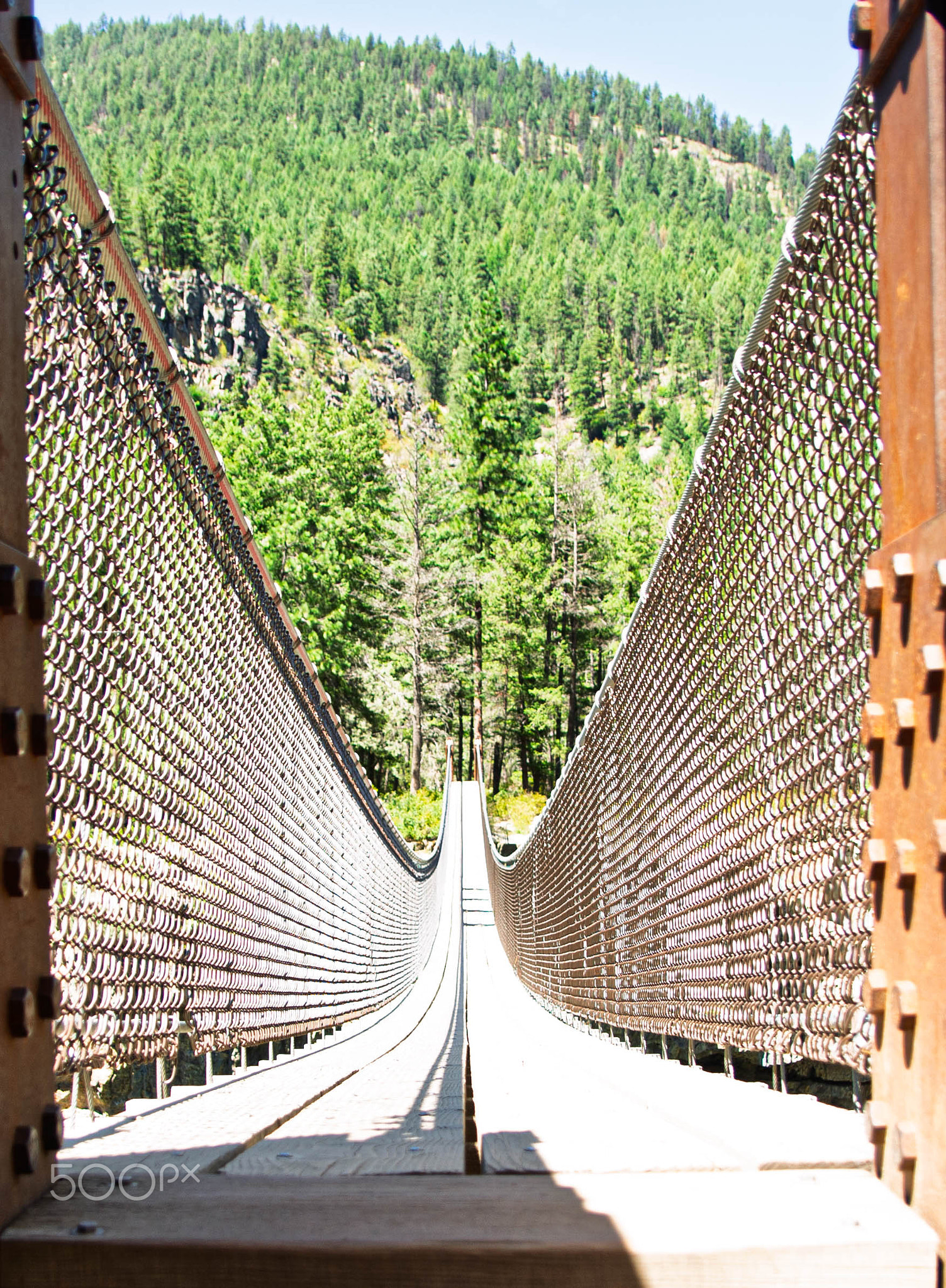 Suspension Bridge Over Scenic Forest Landscape