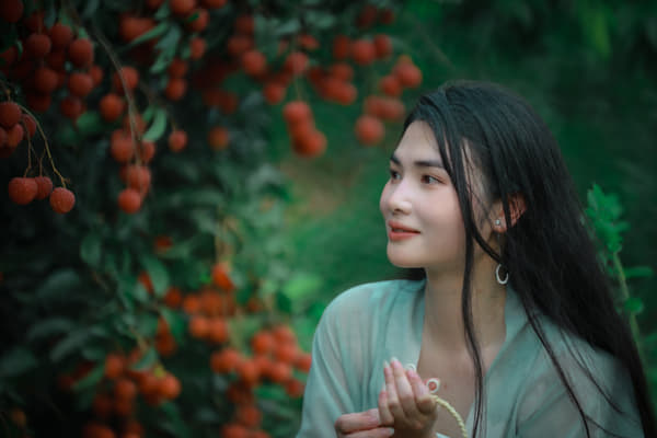 荔枝树下（八）