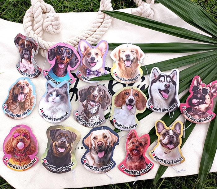 Custom Car Air Fresheners in Bulk – Design Yours Today  