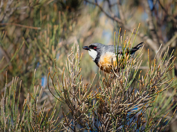 Bambon by Paul Amyes on 500px.com