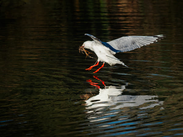 Djeringkara by Paul Amyes on 500px.com