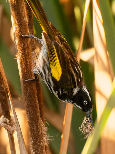 Bandiny by Paul Amyes on 500px.com