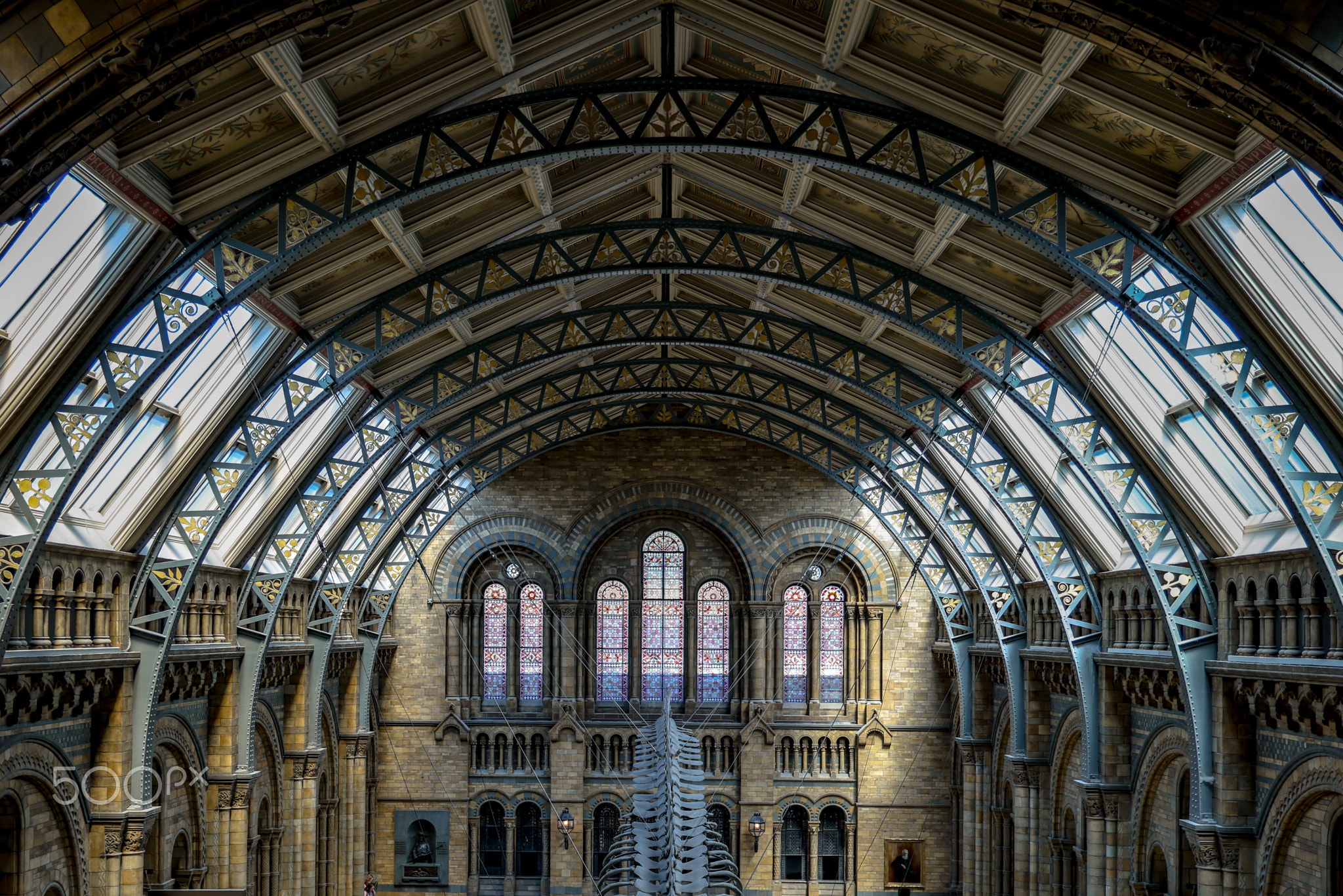 Grand Arched Ceiling of the Natural History Museum London